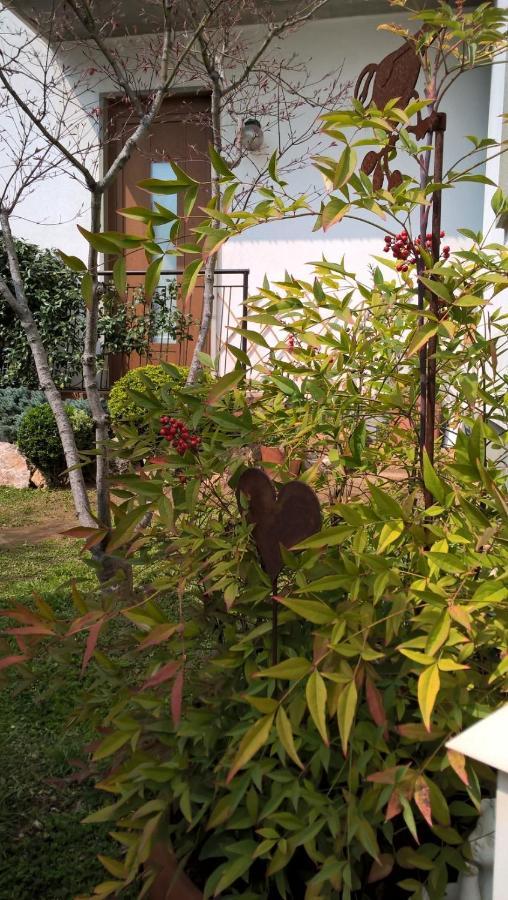 Bed and Breakfast Le Betulle Zanica Exterior foto